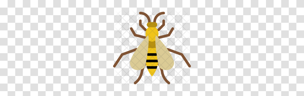 Premium Wasp Icon Download, Insect, Invertebrate, Animal, Cross Transparent Png