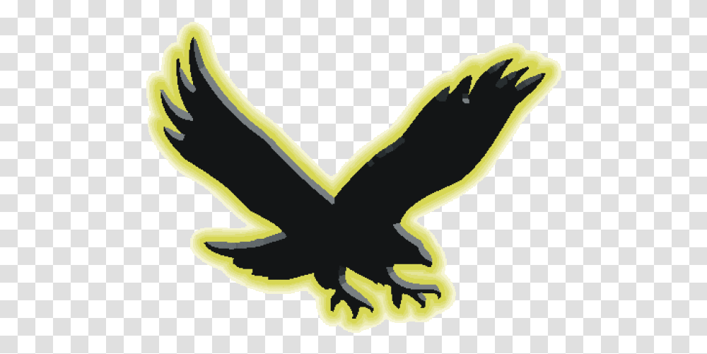 Prep Football Go Hawks Storm Past Crestwood 4913 Waverly Shell Rock Go Hawks, Symbol, Bird, Animal, Plant Transparent Png