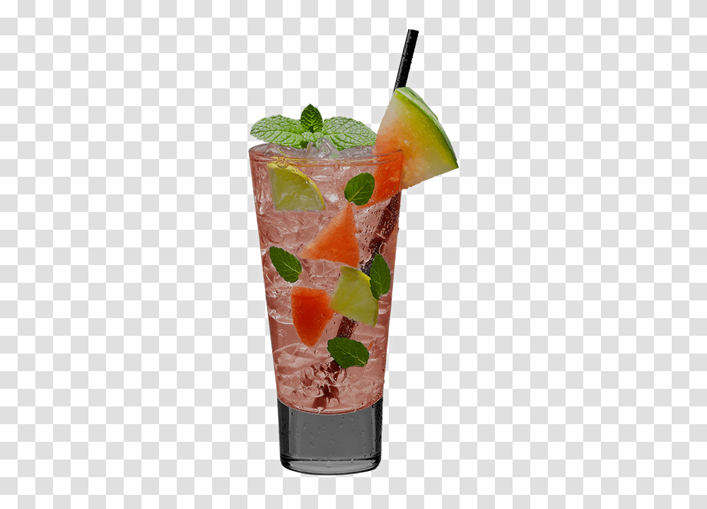 Preparation Micctel Mojito Sabores, Plant, Potted Plant, Vase, Jar Transparent Png