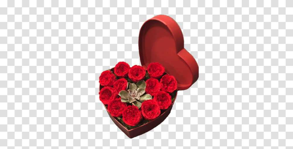 Preserved Red Rose Heart, Flower, Plant, Blossom Transparent Png