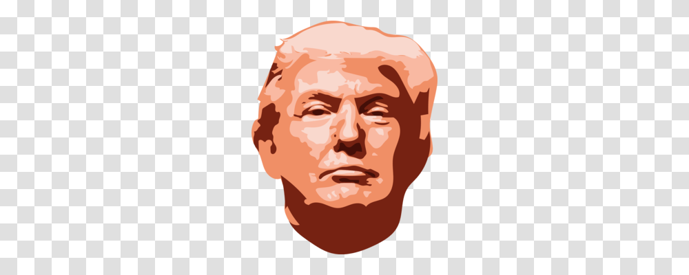 Presidency Of Donald Trump President Of The United States, Head, Face, Person, Plant Transparent Png