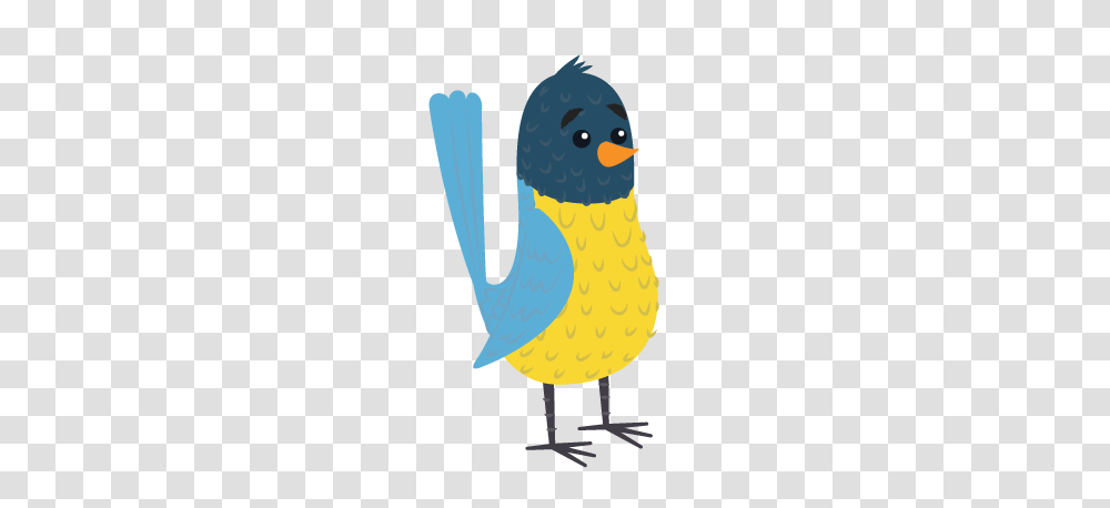 President Childrens Section, Animal, Bird, Penguin, King Penguin Transparent Png