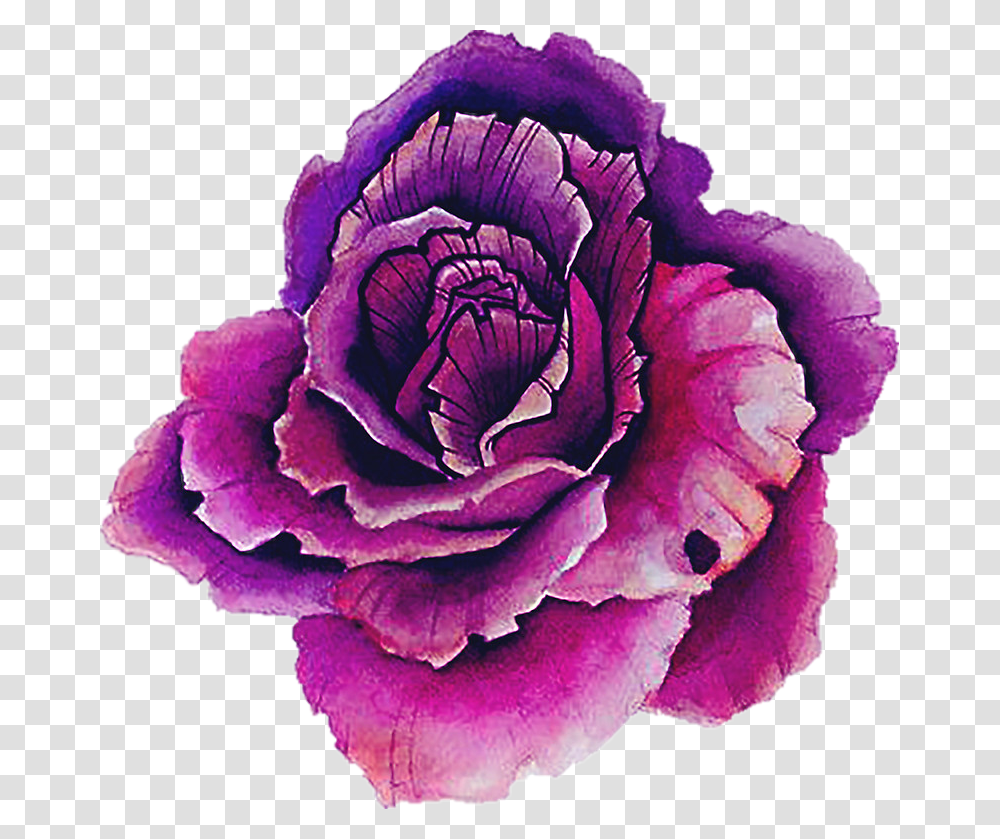 Presiosa Tumblr Acuarelas Lindo Pastel Cute Stickers Printable, Plant, Flower, Blossom, Rose Transparent Png