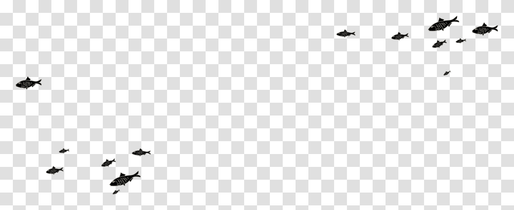 Press Fish Silhouette, Flying, Bird, Animal, Airplane Transparent Png