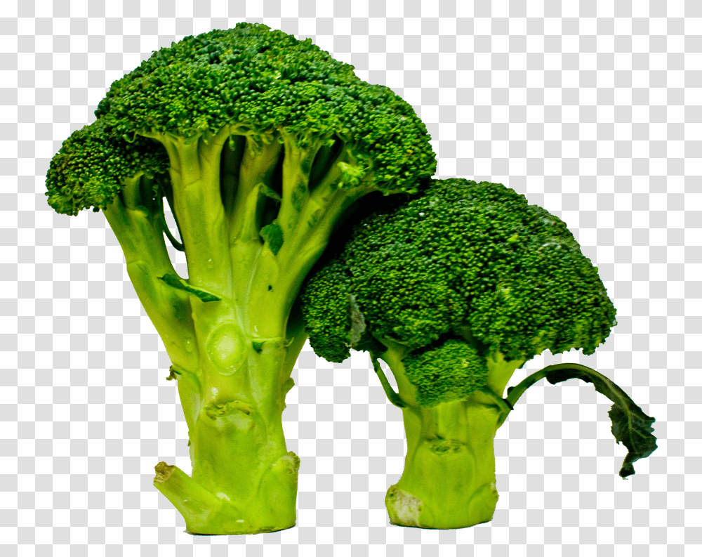 Press Kit Broccoli, Plant, Vegetable, Food Transparent Png