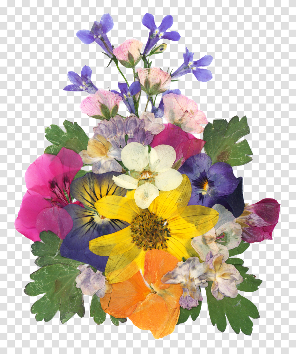 Pressed Flowers Transparent Png