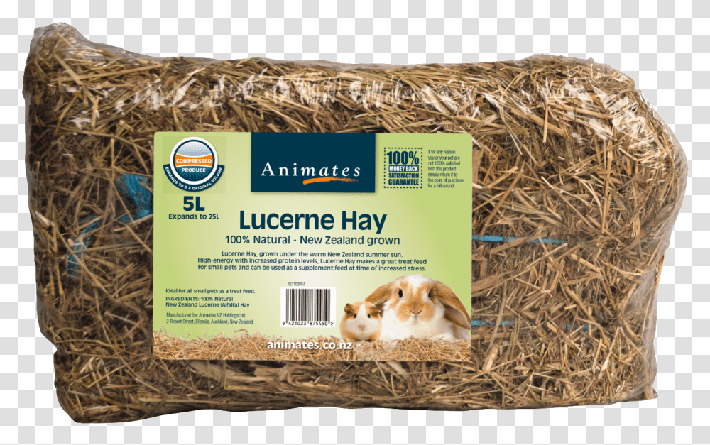 Pressed Hay Small Animals Download Guinea Pig, Dog, Pet, Mammal, Food Transparent Png