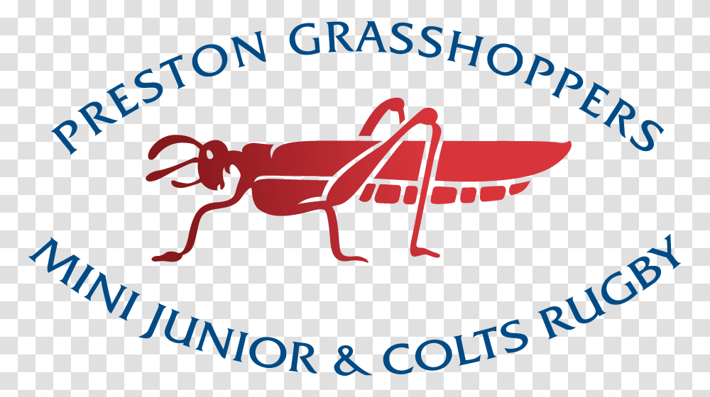 Preston Grasshoppers Rugby Football Club, Insect, Invertebrate, Animal, Poster Transparent Png