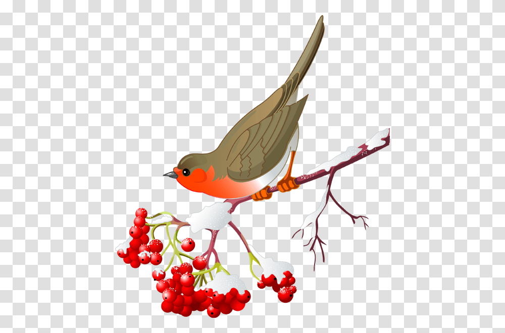 Pretty Bird And Winter Berries Winter Clip Art Birds Pretty, Plant, Animal Transparent Png