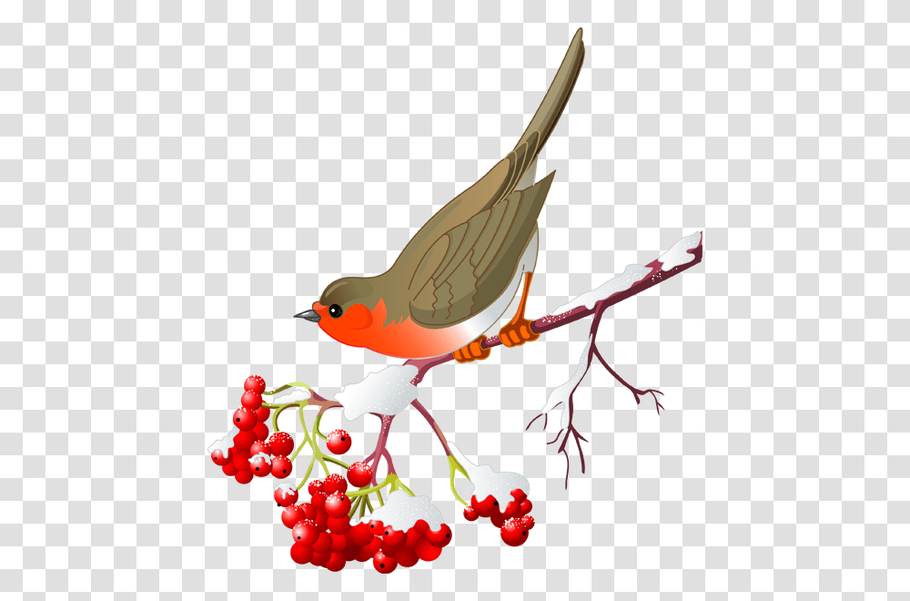 Pretty Bird Clipart, Plant, Animal Transparent Png