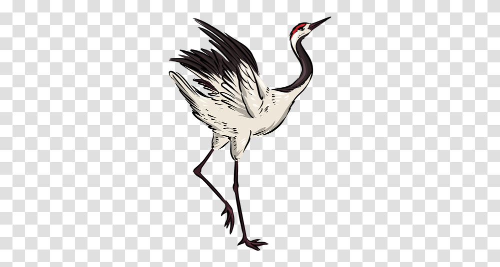 Pretty Crane Bird Ad In 2020 Long, Animal, Waterfowl, Stork, Heron Transparent Png
