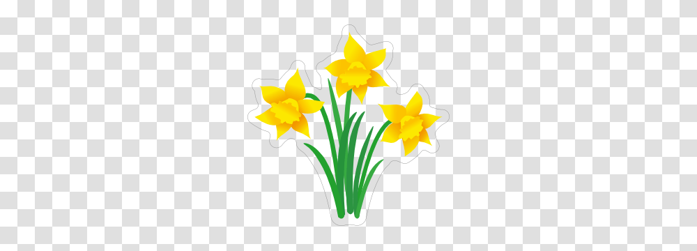 Pretty Daffodil Sticker, Plant, Flower, Blossom Transparent Png