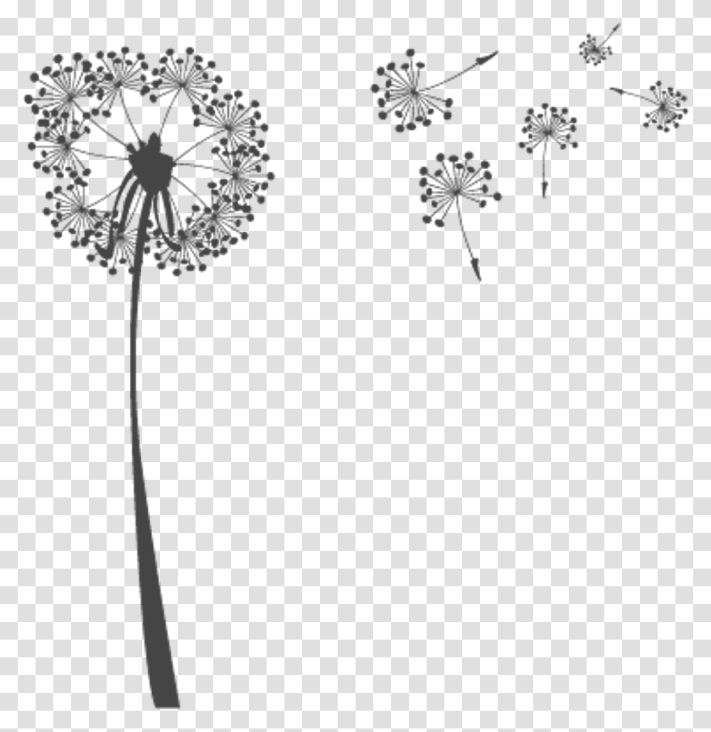 Pretty Flower Clipart Background Dandelion Clipart, Plant, Blossom, Apiaceae Transparent Png