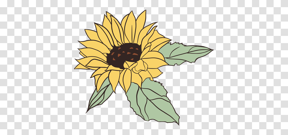 Pretty Hand Drawn Sunflower & Svg Vector File Bonitas De Girasoles, Plant, Blossom, Daisy, Daisies Transparent Png