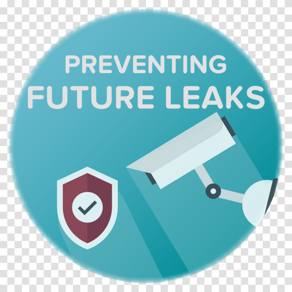 Preventing Dns Vpn Leaks Circle, Poster, Advertisement, Security Transparent Png