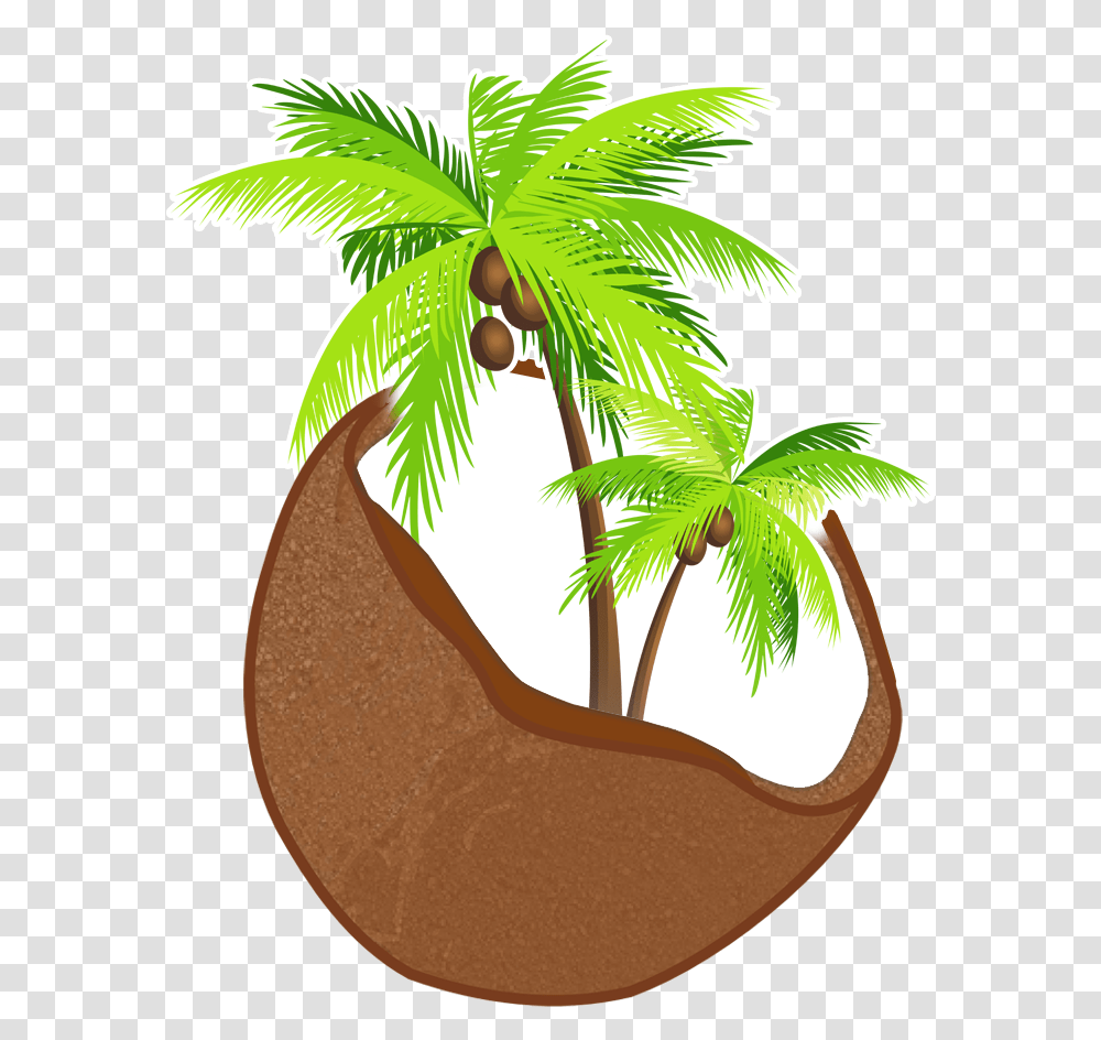 Previous Item Depositphotos L Next Item Southeastern Background Coconut Tree, Plant, Vegetable, Food, Fruit Transparent Png