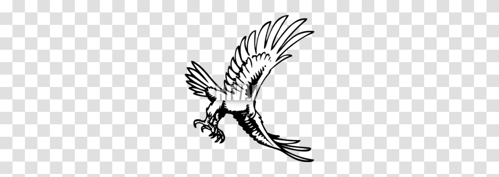 Prey Clipart, Animal, Eagle, Bird, Emblem Transparent Png