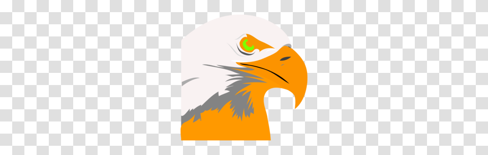 Prey Clipart, Beak, Bird, Animal, Eagle Transparent Png