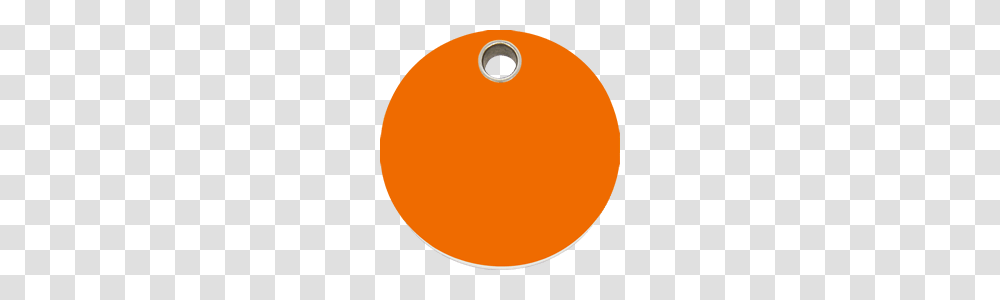 Price Label, Plant, Balloon, Fruit, Food Transparent Png