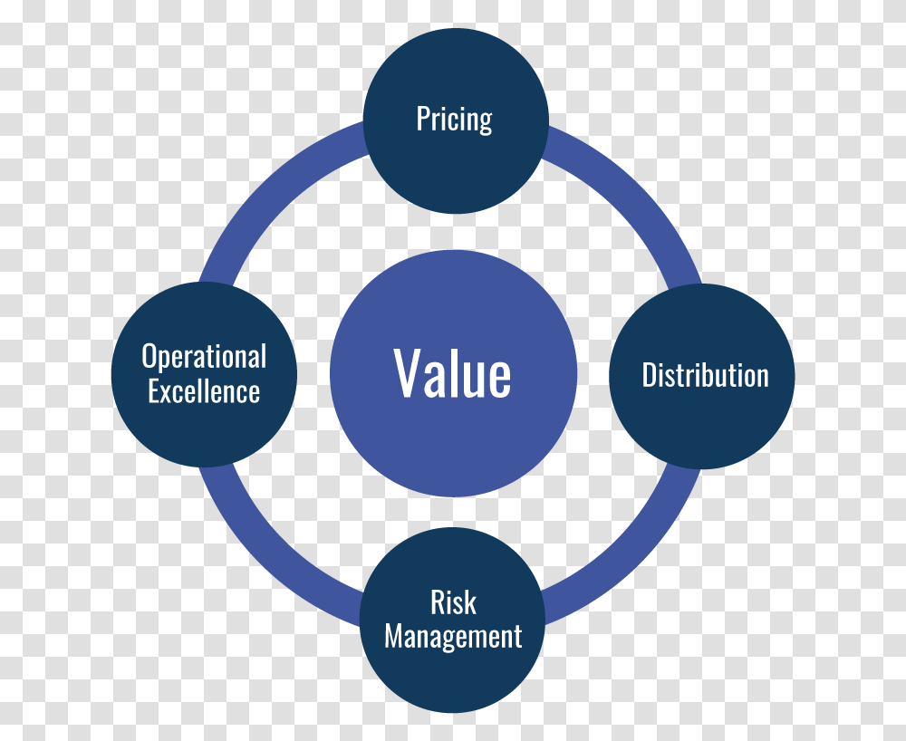 Pricing Excellence Risk Management 5s In Hospital, Vegetation, Diagram, Plot, Network Transparent Png