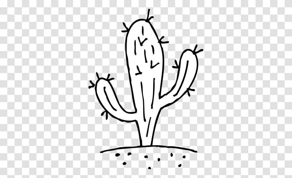 Prickly Cactus Coloring, Plant, Stencil, Hook Transparent Png