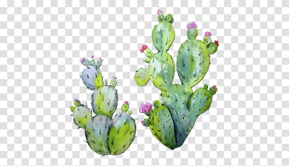 Prickly Pear Cactus Watercolor, Plant Transparent Png