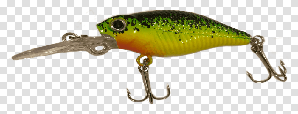 Prickly Pear Fluo Perch, Fishing Lure, Bait, Dinosaur, Reptile Transparent Png
