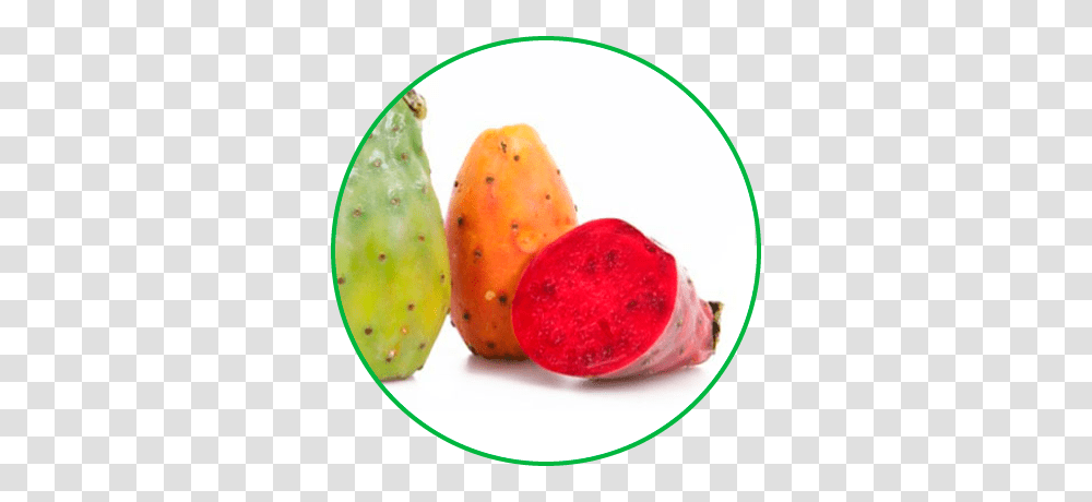 Prickly Pears, Plant, Cactus, Food Transparent Png