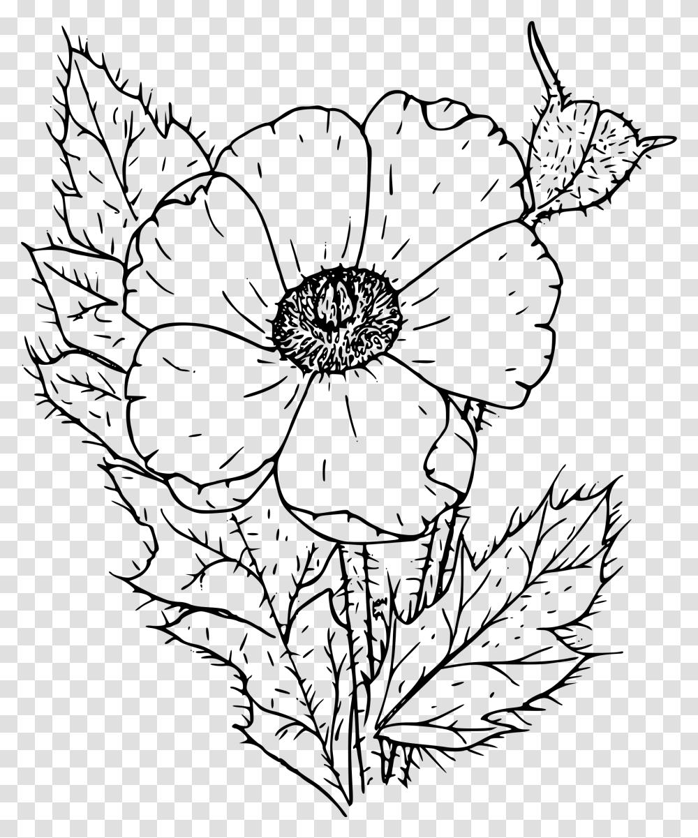 Prickly Poppy Clip Arts Poppy Flower Black And White, Gray, World Of Warcraft Transparent Png