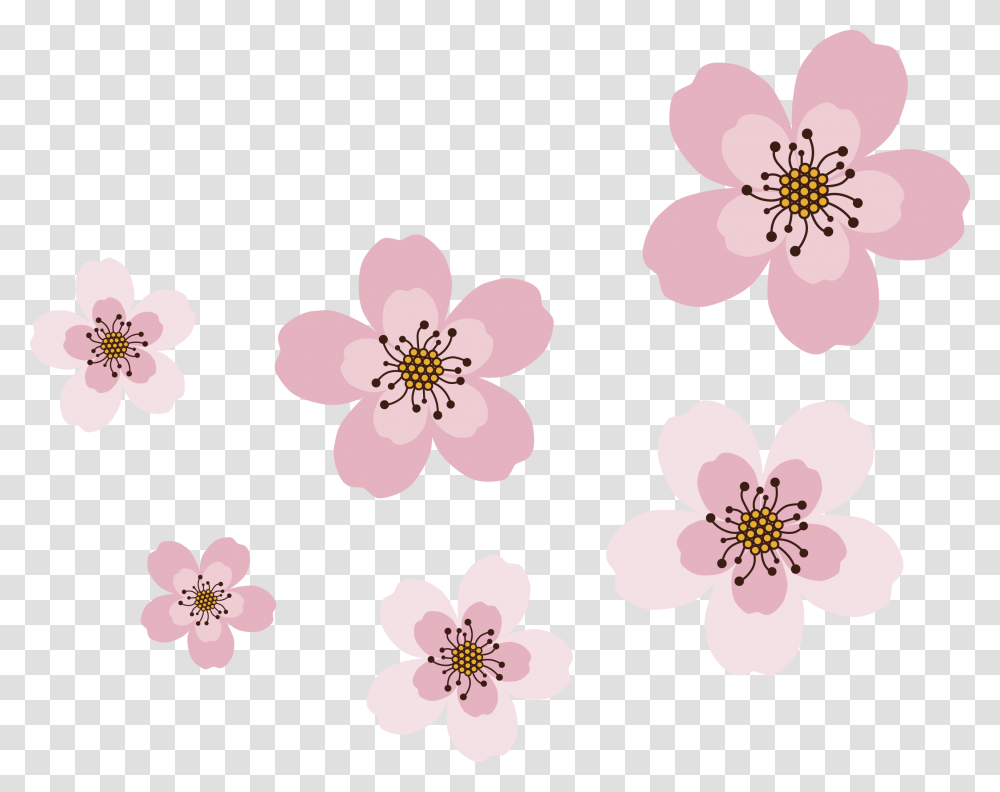 Prickly Rose, Plant, Flower, Blossom, Cherry Blossom Transparent Png