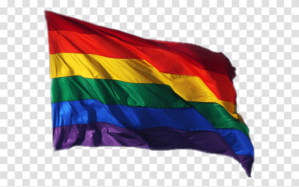 Pride Lgbt Lgbtq Prideflag Flag Homosexuall Nichememe Race Segregation Flag Rainbow Transparent Png