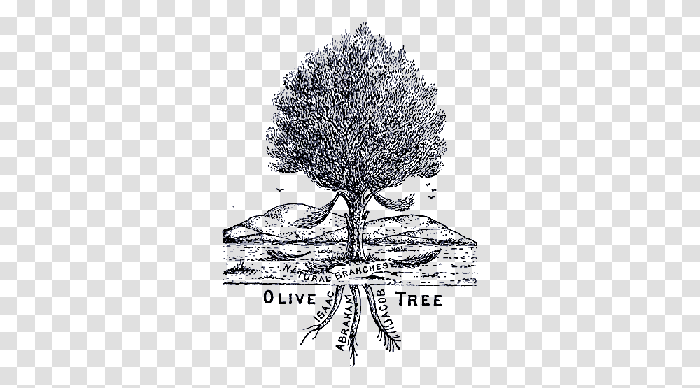 Priestly Fraternity Of Saint Peter Olive Tree Romans 11, Outdoors, Nature, Silhouette, Astronomy Transparent Png