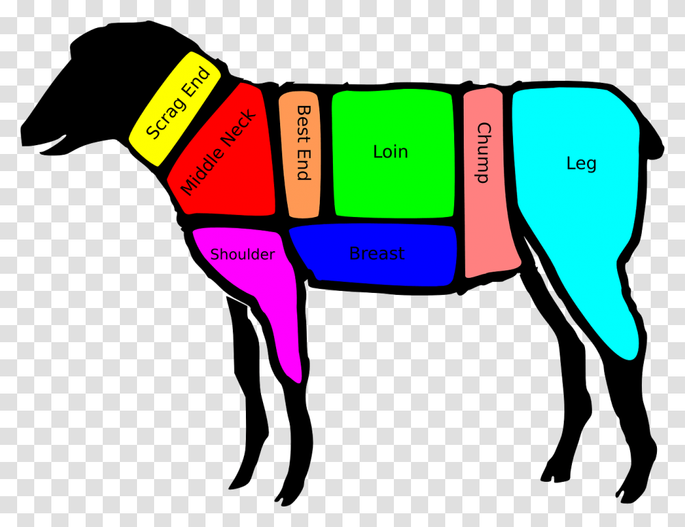 Primal Cuts Of Lamb, Label, Crayon Transparent Png