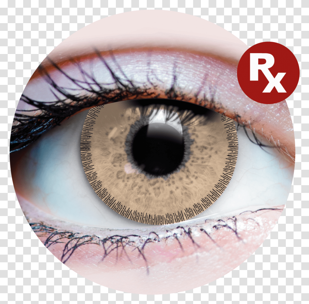 Primal Rx Charm ChestnutClass Loki Contacts, Contact Lens, Snake, Reptile, Animal Transparent Png