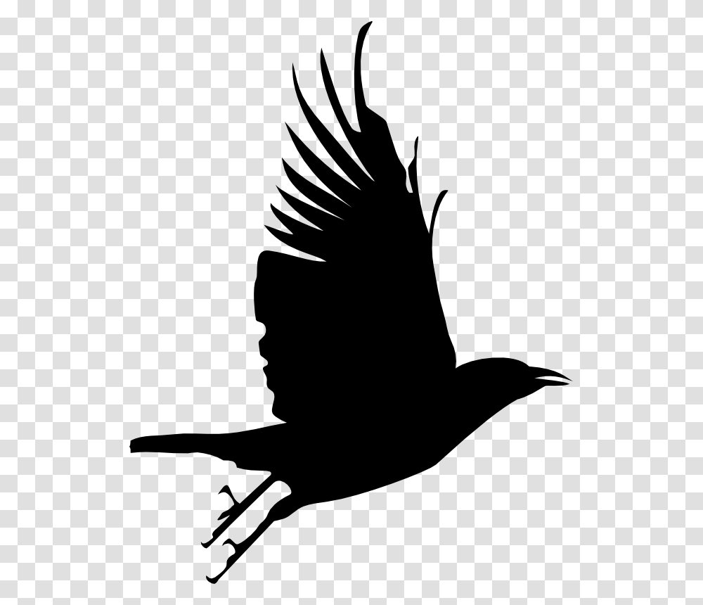 Primitive Crow Clipart, Silhouette, Stencil, Flying, Bird Transparent Png