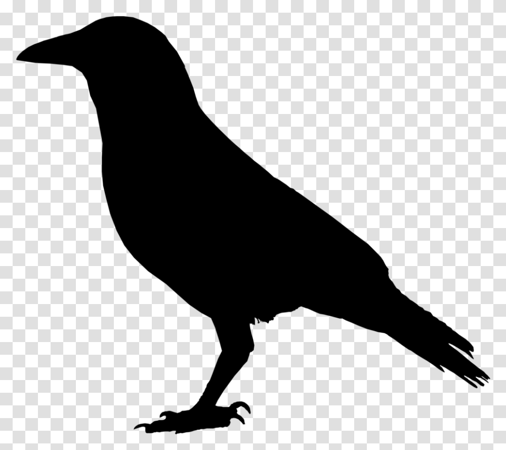 Primitive Crow Clipart Wikiclipart Black Raven Clip Art, Gray, World Of Warcraft Transparent Png