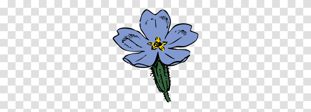 Primrose Clip Art, Plant, Flower, Blossom, Anemone Transparent Png