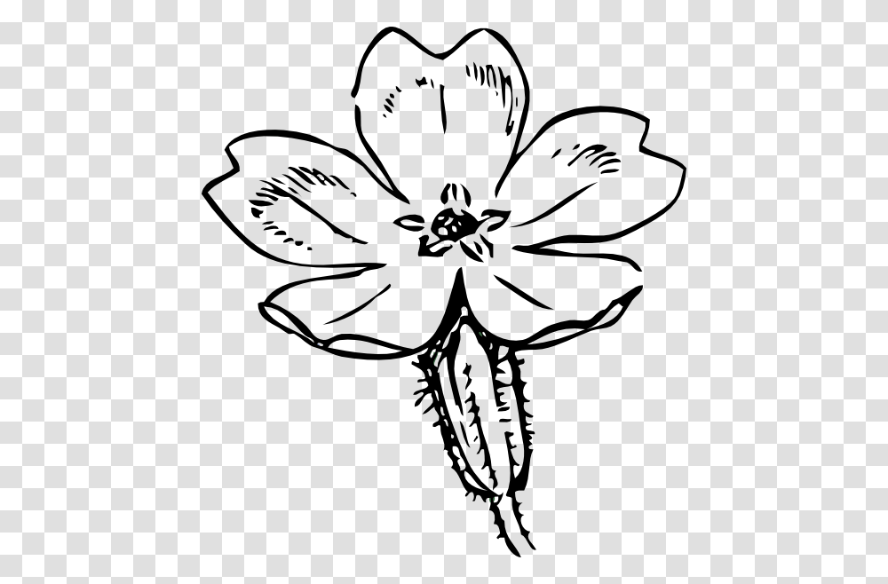 Primrose Sketch, Plant, Flower, Blossom, Stencil Transparent Png
