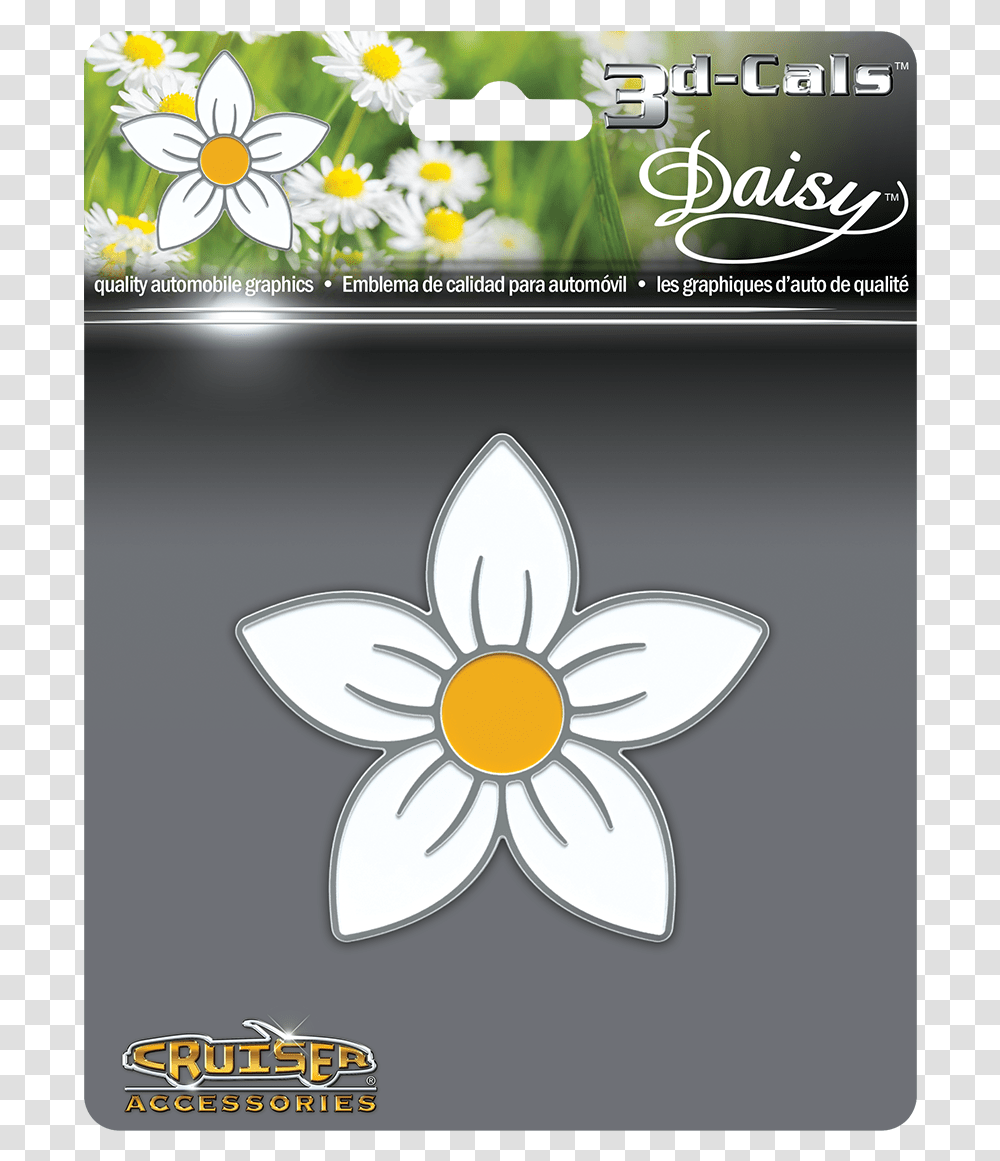 Princess Daisy, Flower, Plant, Blossom, Daisies Transparent Png