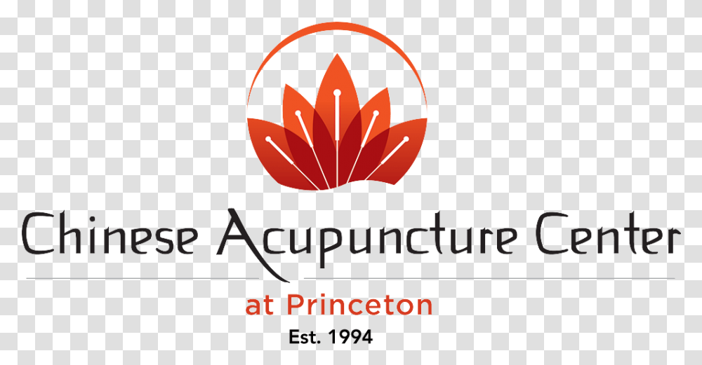 Princeton Logo Logo Design Traditional Chinese Medicine, Plant, Tree Transparent Png