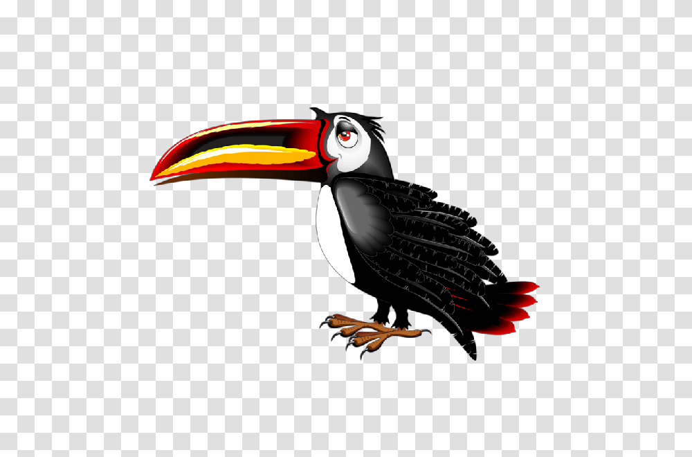 Print, Beak, Bird, Animal, Toucan Transparent Png