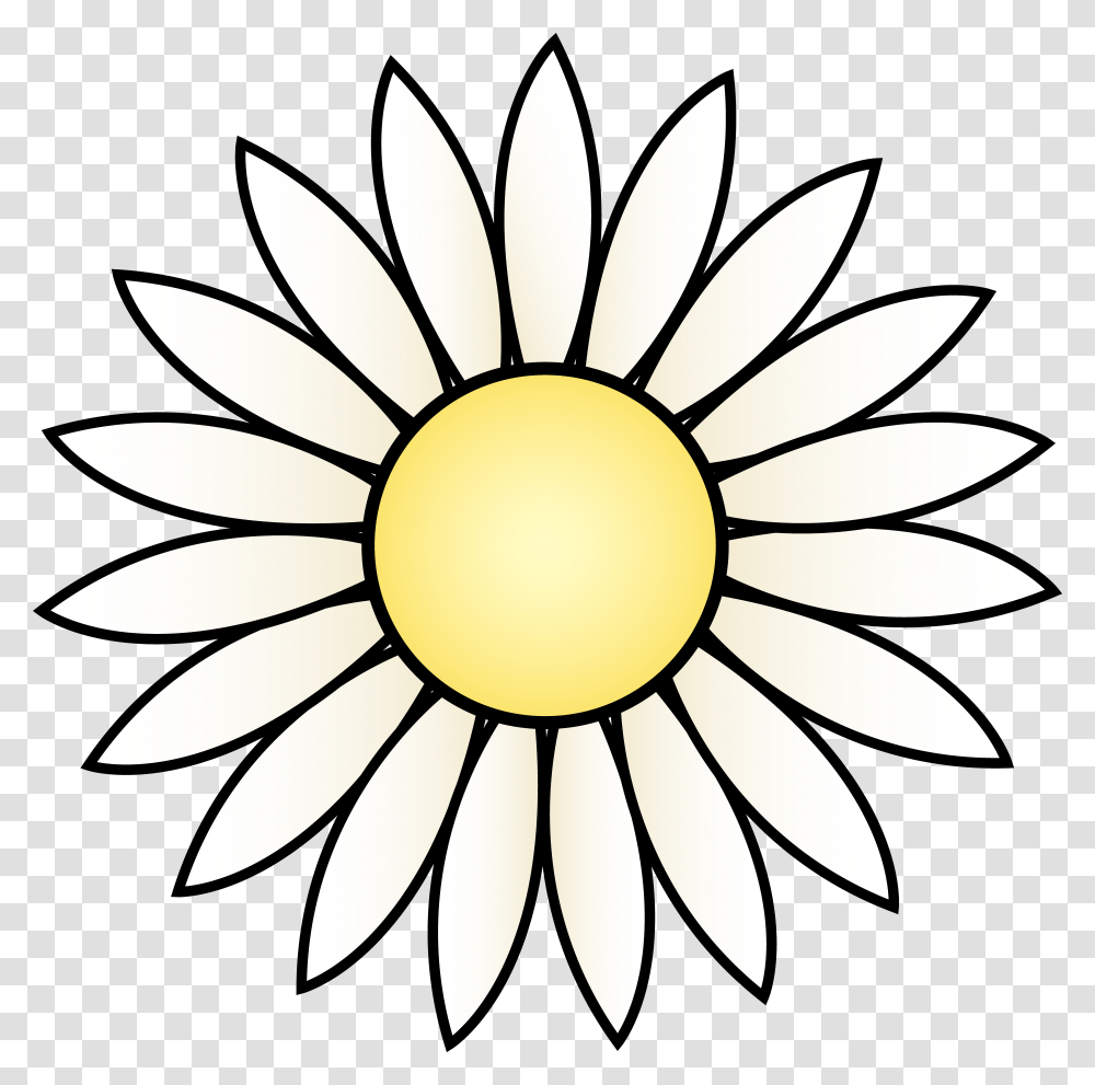 Printable Daisy Clipart, Plant, Flower, Blossom, Daisies Transparent Png