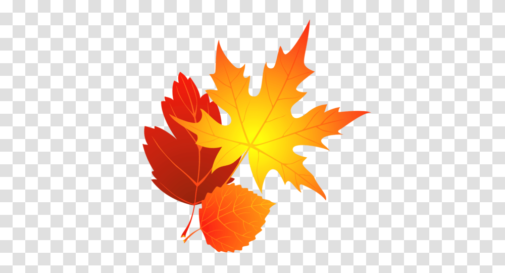 Printable Fall Leaves Clip Art, Leaf, Plant, Tree, Maple Transparent Png