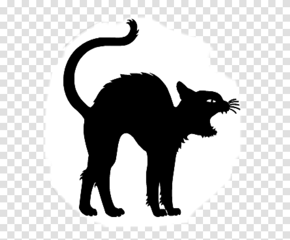 Printable Halloween Black Cat Silhouette, Stencil, Animal, Mammal, Dog Transparent Png
