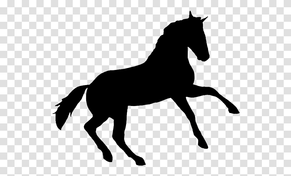 Printable Horse Silhouette Silhouette Horse, Mammal, Animal, Colt Horse, Foal Transparent Png