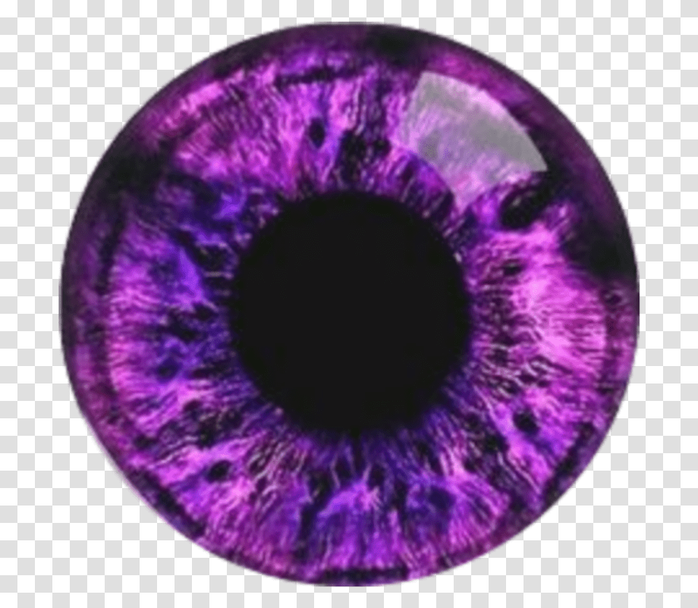 Printable Purple Eye Iris, Ornament, Accessories, Accessory, Gemstone Transparent Png