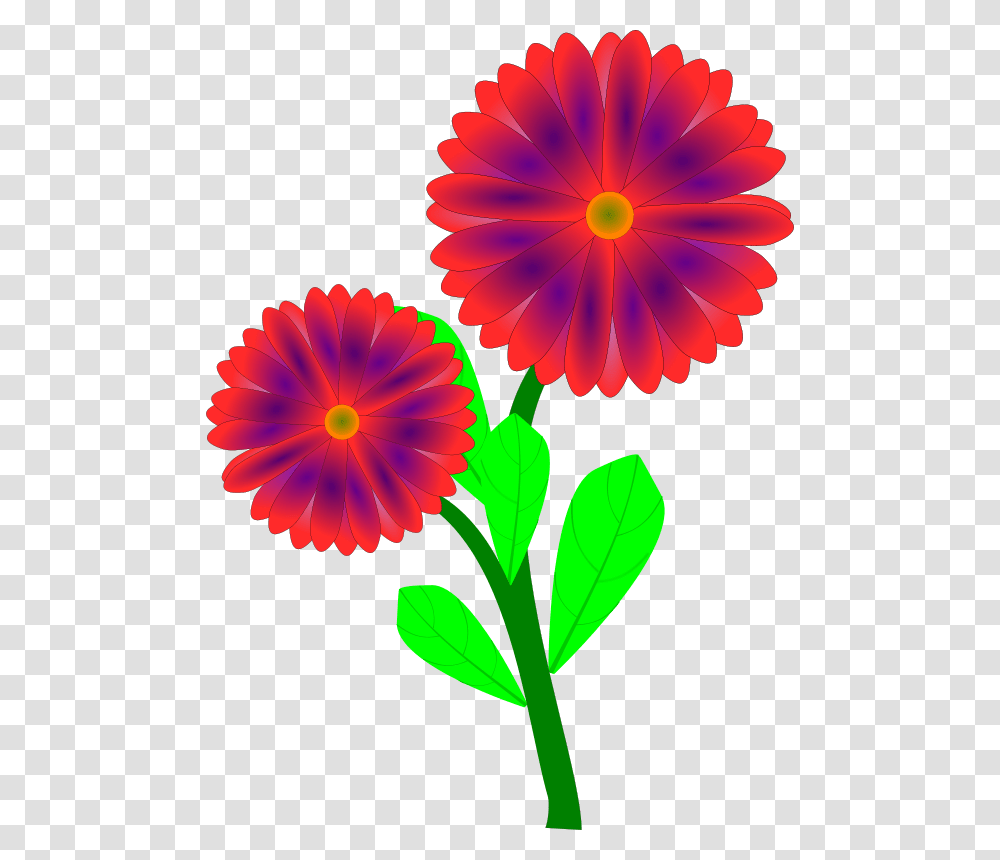 Printable Spring Clipart, Plant, Petal, Flower, Daisy Transparent Png