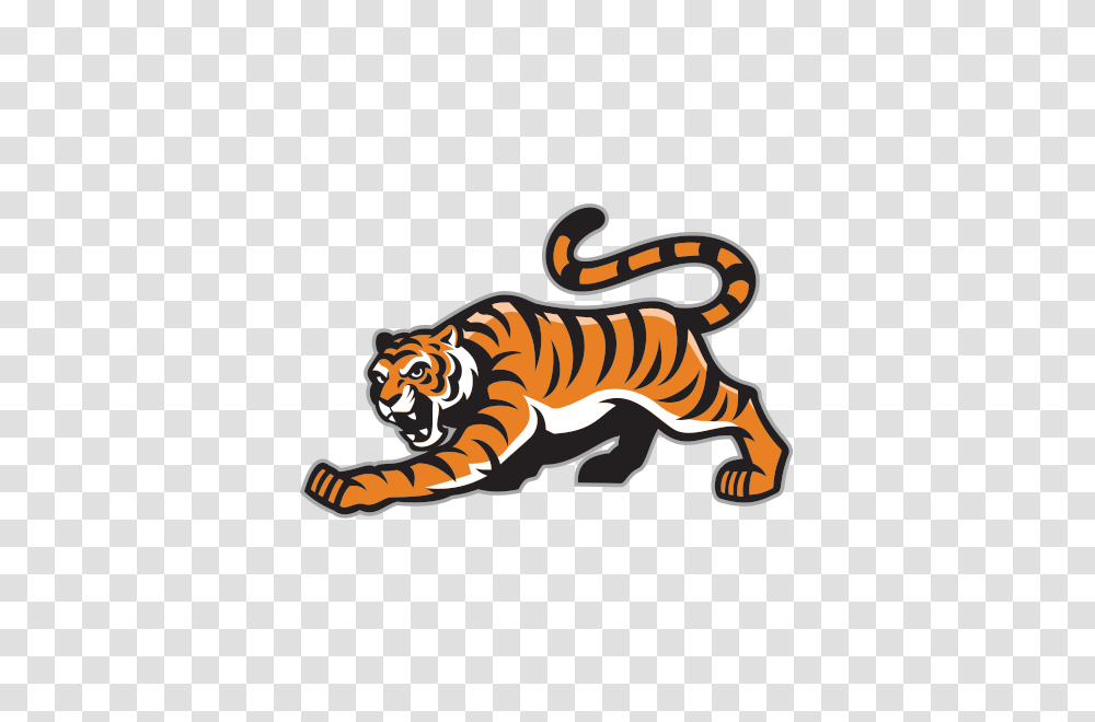 Printed Vinyl Angry Tiger Attack Mascot Stickers Factory, Wildlife, Mammal, Animal, Panther Transparent Png