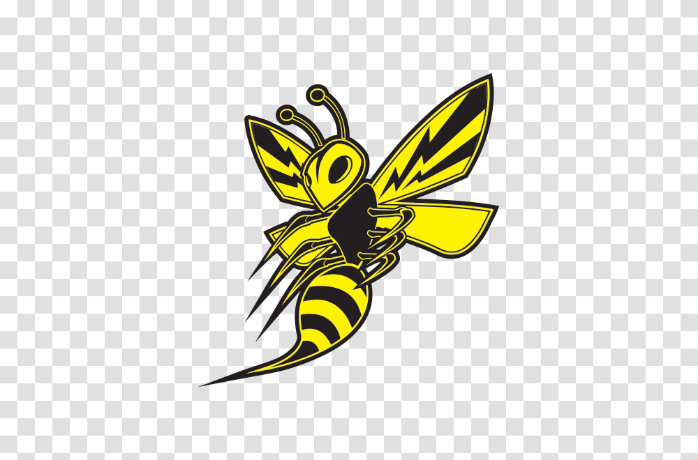 Printed Vinyl Bee Hornet Wasp Vespa Fighter Stickers Factory, Insect, Invertebrate, Animal, Andrena Transparent Png