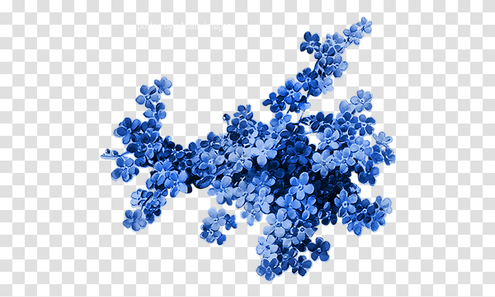 Printemps Myosotis Tube Fleur Blue Flower Forget Me Not Paper, Pattern, Rug, Fractal, Ornament Transparent Png